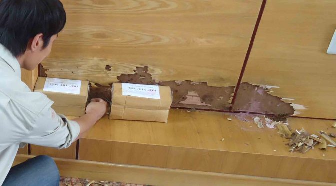 Diệt Mối Tận Gốc Tại Đà Nẵng